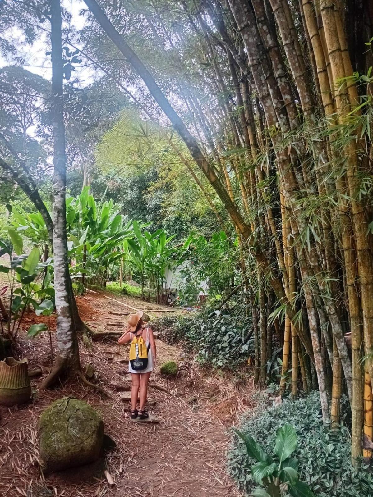 Bangalo Na Acqua Jungle Lodge Vila do Abraao Ngoại thất bức ảnh