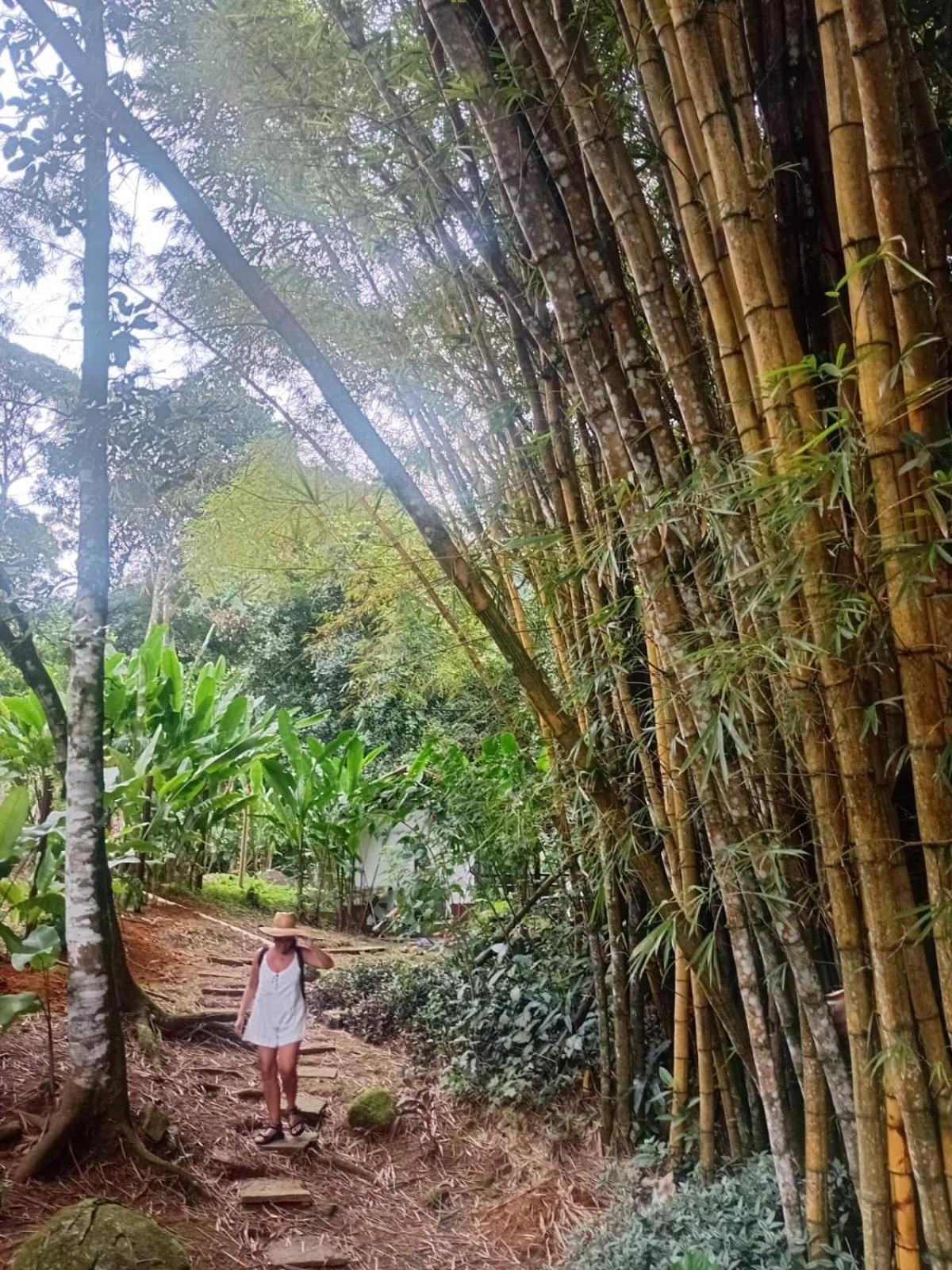 Bangalo Na Acqua Jungle Lodge Vila do Abraao Ngoại thất bức ảnh